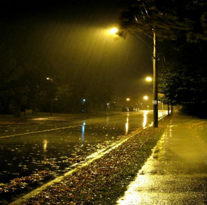 Rainy Nighttime Street